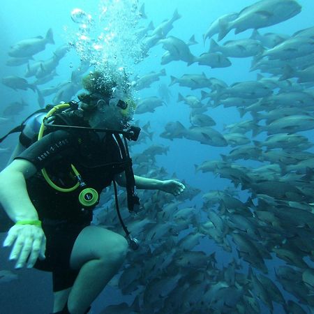 My Hostel In Dahab - Dive Center ภายนอก รูปภาพ