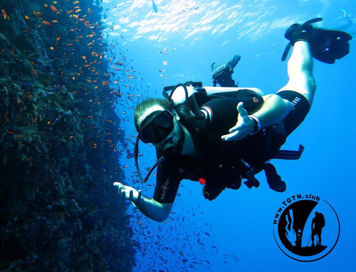 My Hostel In Dahab - Dive Center ภายนอก รูปภาพ