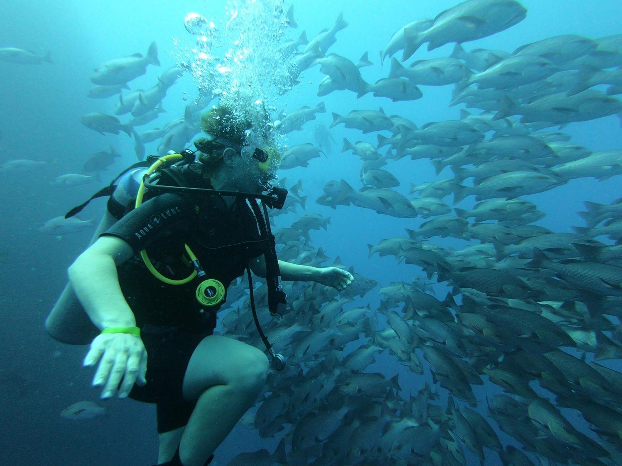 My Hostel In Dahab - Dive Center ภายนอก รูปภาพ